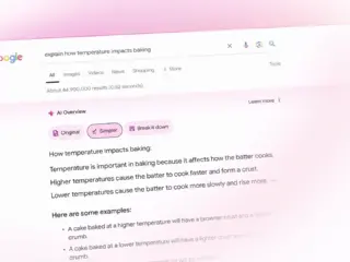 google ai overview