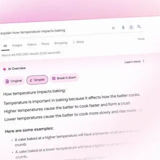 google ai overview
