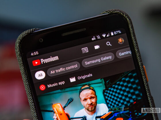 youtube premium inside app logo