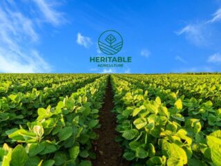Heritable Agriculture Yapay Zeka tarim Google genom
