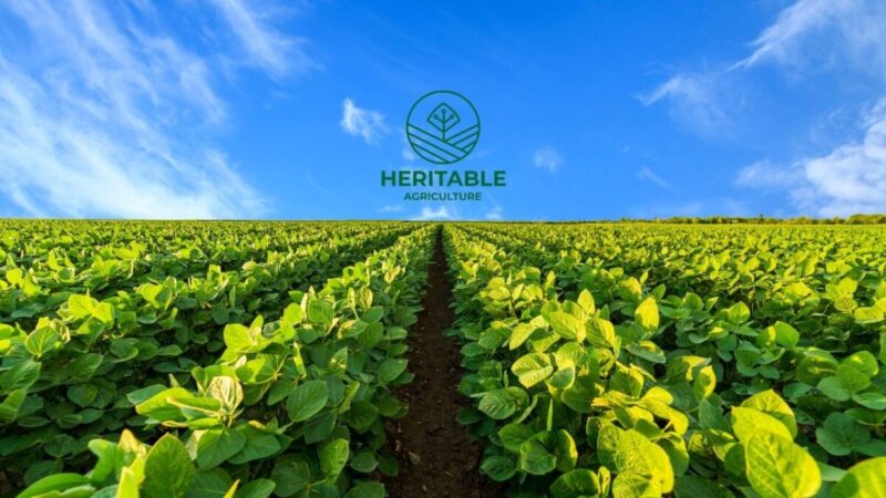 Heritable Agriculture Yapay Zeka tarim Google genom