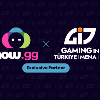 gaming in turkiye mena eu