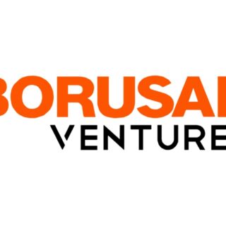 borusan ventures