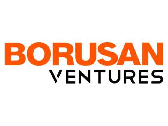 borusan ventures