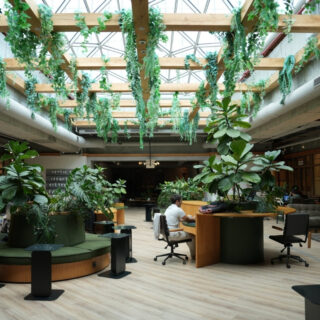 yayin resize 2025 05 29T125114.760