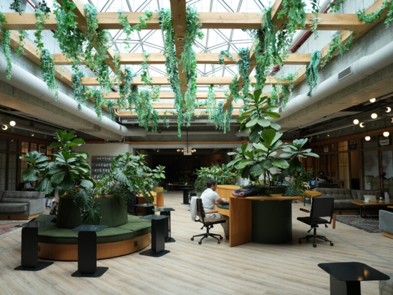 yayin resize 2025 05 29T125114.760