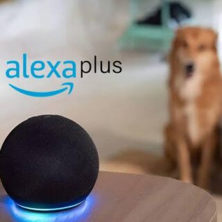 images 2025 08 01T121528.834