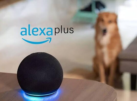 images 2025 08 01T121528.834