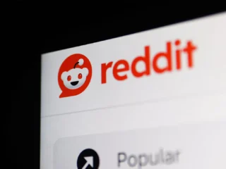 redditvsai