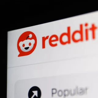 redditvsai