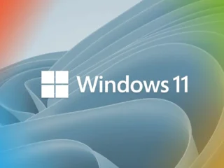 windows 11