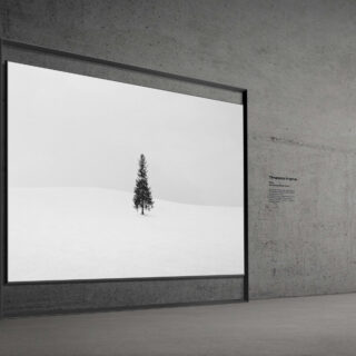 yayin resize 2026 01 06T114215.966