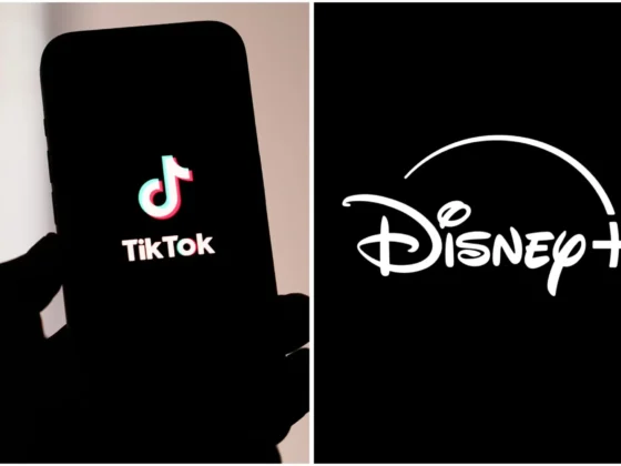 Disney TikTok Isbirligi