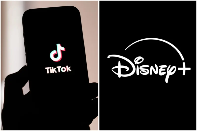 Disney TikTok Isbirligi