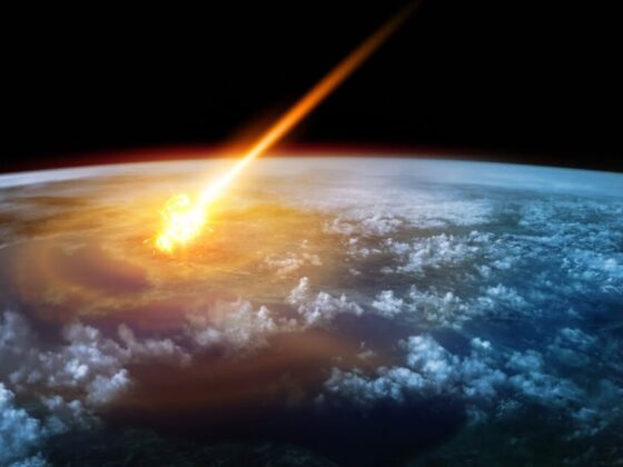 astroid international meteor organization