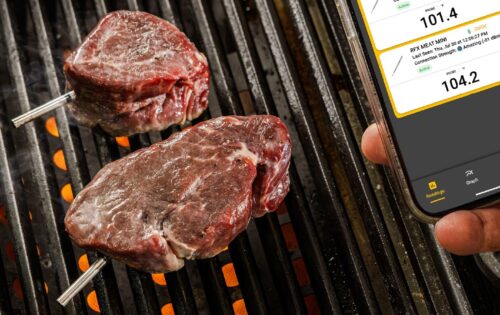 ThermoWorks, RFX MEAT Mini’yi Küçük Parçalar İçin Tanıttı